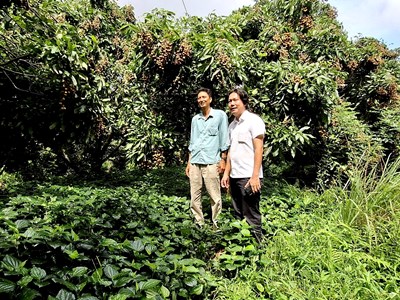 Thanh niên và sự chuyển dịch ý thức môi trường ở nông thôn Việt Nam