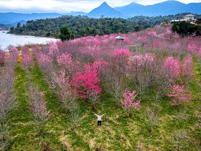 Điểm hẹn văn hóa - du lịch đầu xuân của Điện Biên