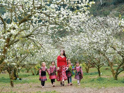 Mộc Châu - Hẹn ước mùa hoa