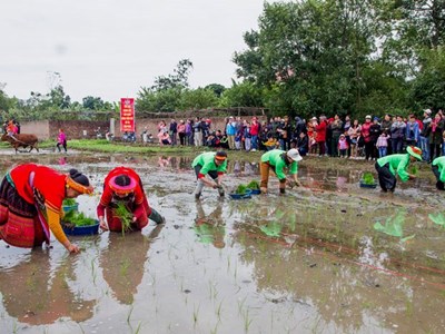 336 lễ hội đầu xuân 2026 ở Thái Nguyên