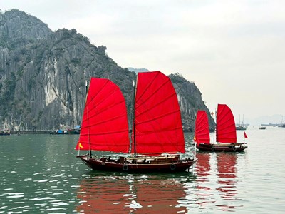 “Cánh buồm đỏ thắm” trên vịnh Hạ Long “gây sốt”