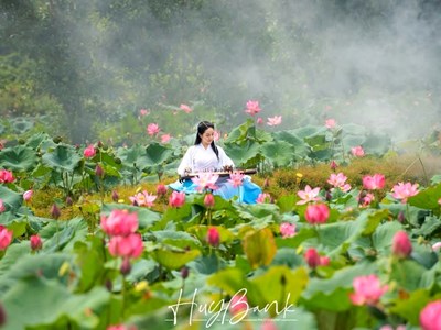 Cuộc chuyển đổi lớn của nhiếp ảnh trong thế kỉ XXI