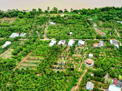 Về cồn Mỹ Phước dự Ngày hội Sông nước miệt vườn