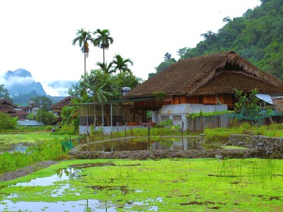 Bài 1: Thôn Tha - bình yên dưới những tầng mây