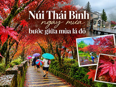 Núi Thái Bình ngày mưa, bước giữa mùa lá đỏ