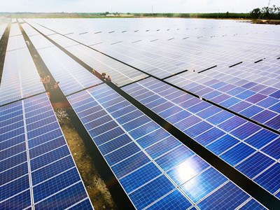 Bamboo Capital đạt doanh thu 985 tỷ đồng trong quý 1/2024, mảng năng lượng tái tạo đóng góp lớn