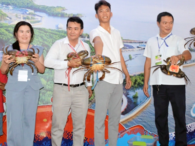 Độc đáo Cuộc thi “Xác lập kỷ lục” Cua Cà Mau