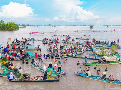 Đồng Tháp: Phát triển du lịch gắn với các mô hình nông nghiệp sinh thái 