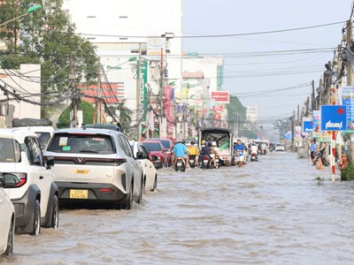 Cần Thơ: Chủ động ứng phó với triều cường cuối tháng 9 tăng cao