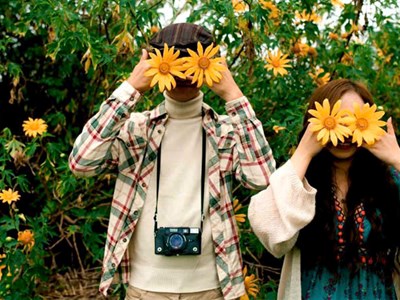 Gia Lai: Rực rỡ sắc vàng mùa hoa Dã Quỳ 