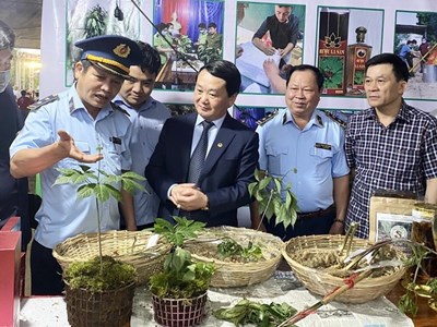 Kon Tum: Nhiều kỳ vọng từ Hội thảo sâm Ngọc Linh 