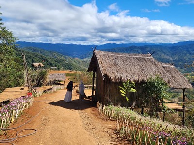 Xử phạt chủ cơ sở du lịch trái phép gây mất an toàn giao thông 31,5 triệu đồng, buộc trả lại hiện trạng ban đầu