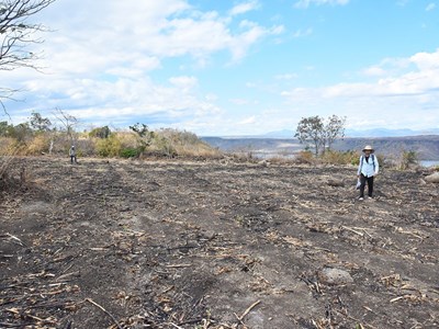 Bộ VHTTDL cấp phép thăm dò, khai quật khảo cổ di tích Plei Ring