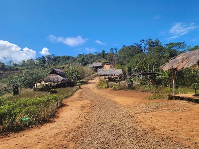Thành lập đoàn kiểm tra điểm du lịch trái phép “View siêu chill” trên đèo Măng Đen