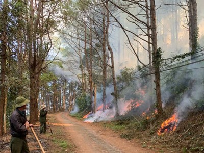 Gia Lai: Căng mình chống “giặc lửa” giữa cao điểm mùa khô 
