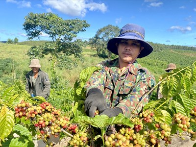 Những kết quả nổi bật từ Cuộc vận động “Làm thay đổi nếp nghĩ, cách làm” ở Đăk Tô