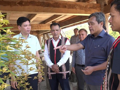 Quảng Ngãi: Hình thành những “làng hoa” đón khách ở Măng Đen