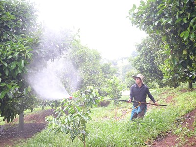 Hiện thực hóa EPR trong xử lý rác thải nông nghiệp