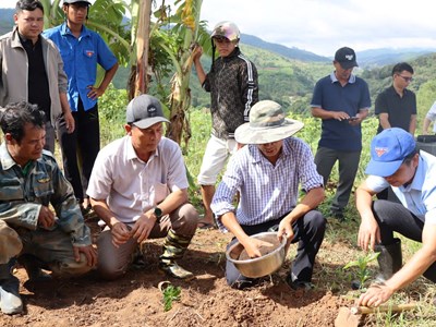 Từ “Đại hội không hoa” đến khát vọng xây dựng thương hiệu cà phê đặc sản Tu Mơ Rông