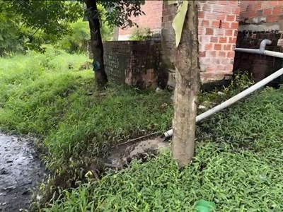 Trang trại heo bị phản ánh ô nhiễm: Kiểm tra phát hiện nhiều tồn tại