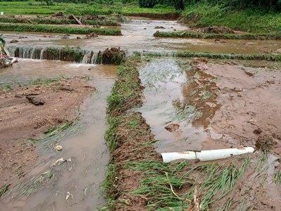 Quảng Ngãi: Mưa lớn gây thiệt hại hơn 2,9 tỉ đồng