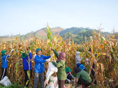  Nhiều hoạt động ý nghĩa hỗ trợ người dân xã Quan Sơn