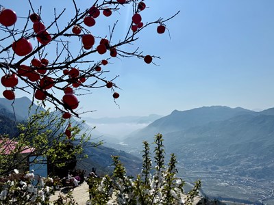 Quảng bá du lịch Việt Nam trên biển quảng cáo tấm lớn, biển quảng cáo điện tử, phương tiện giao thông công cộng