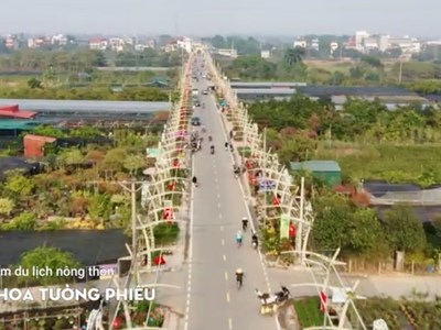 Du lịch Hà Nội: Khám phá xã Phúc Thọ với “Sắc hoa Tường Phiêu“