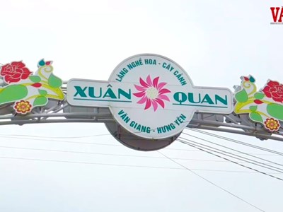 Cuối năm về làng hoa Xuân Quang: Mua hoa, tận hưởng Tết