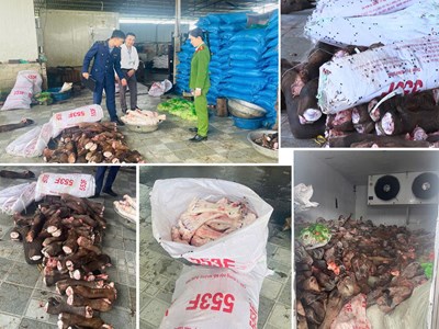 Thanh Hóa phát hiện gần 6 tấn xương, chân trâu bò bốc mùi chuẩn bị đưa ra quán ăn
