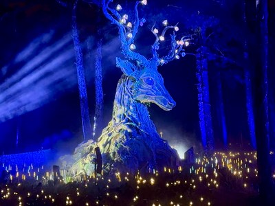 Đêm Đà Lạt “thức giấc” với vũ trụ ánh sáng kỳ ảo tại Delight Park