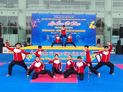 Bình Dương tổ chức Liên hoan Võ nhạc