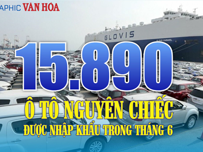 15.890 ô tô nguyên chiếc được nhập khẩu trong tháng 6.2024