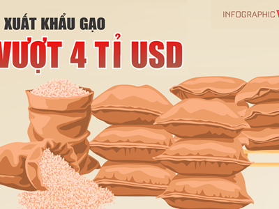 (Infographic) Xuất khẩu gạo vượt 4 tỉ USD