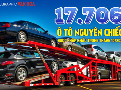 (Infographic) 17.706 ô tô nguyên chiếc được nhập khẩu trong tháng 10.2024