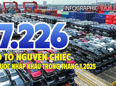 (Infographic) 7.226 ô tô nguyên chiếc được nhập khẩu trong tháng 1.2025