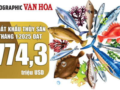 (Infographic) Xuất khẩu thủy sản tháng 1.2025 đạt 774,3 triệu USD