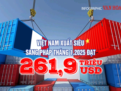 (Infographic) Việt Nam xuất siêu sang Pháp đạt 261,9 triệu USD