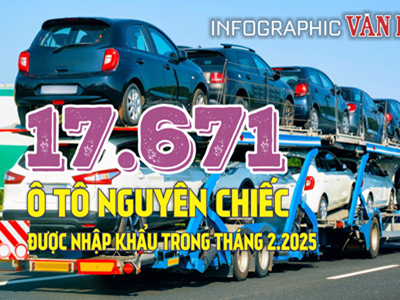 (Infographic) 17.671 ô tô nguyên chiếc được nhập khẩu trong tháng 2.2025