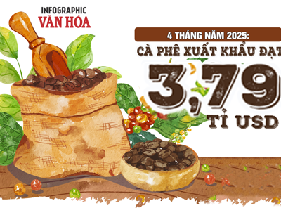 (Infographic) 4 tháng năm 2025: Cà phê xuất khẩu đạt 3,79 tỉ USD