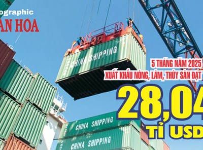 (Infographic) Xuất khẩu nông, lâm, thủy sản 5 tháng năm 2025 đạt 28,04 tỷ USD