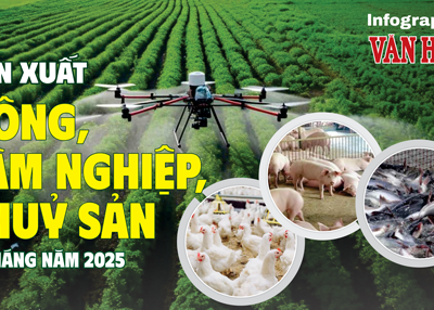 (Infographic) Sản xuất nông, lâm nghiệp, thủy sản 5 tháng năm 2025