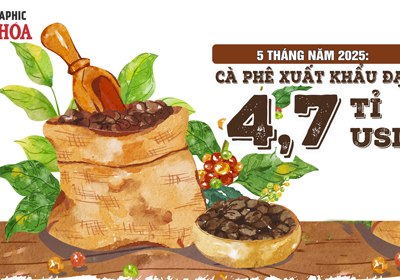 (Infographic) 5 tháng năm 2025: Cà phê xuất khẩu đạt 4,7 tỉ USD