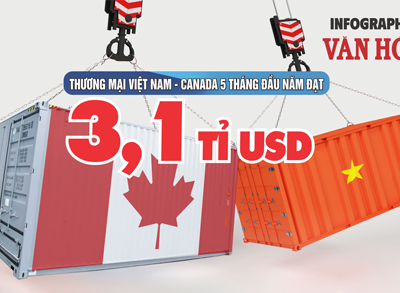 (Infographic) Thương mại Việt Nam -  Canada 5 tháng đầu năm đạt 3,1 tỉ USD