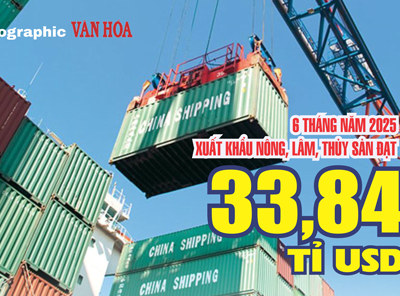 (Infographic) 6 tháng năm 2025 xuất khẩu nông, lâm, thủy sản đạt 33,84 tỉ USD