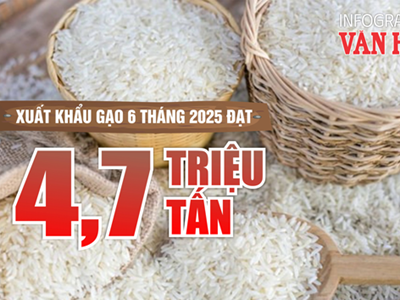 (Infographic) Xuất khẩu gạo 6 tháng năm 2025 đạt 4,7 triệu tấn
