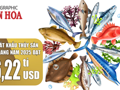 (Infographic) Xuất khẩu thủy sản Việt Nam tăng tốc, đạt 6,22 tỉ USD sau 7 tháng