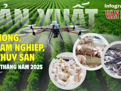 (Infographic) Nông nghiệp 8 tháng 2025: Chăn nuôi trâu bò giảm, thủy sản tăng 3%