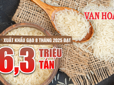 (Infographic) Xuất khẩu gạo Việt Nam 8 tháng 2025: Lượng tăng, giá trị giảm