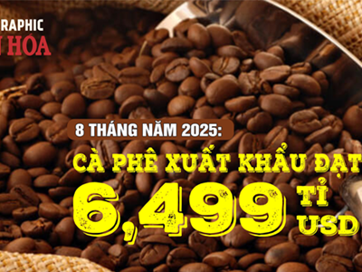 (Infographic) Xuất khẩu cà phê 2025 tăng sốc, 8 tháng đã phá kỷ lục năm 2024